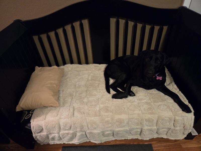 Loves her blanket!