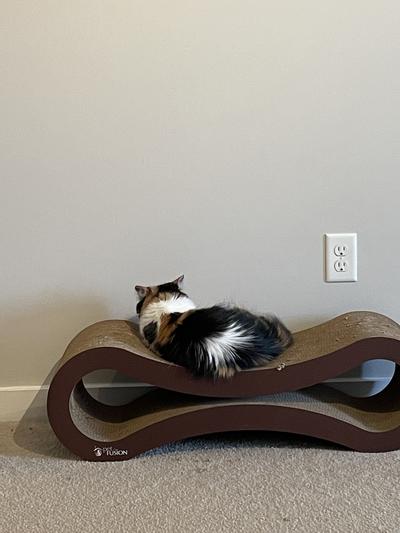 Petfusion cat scratcher outlet lounge groupon