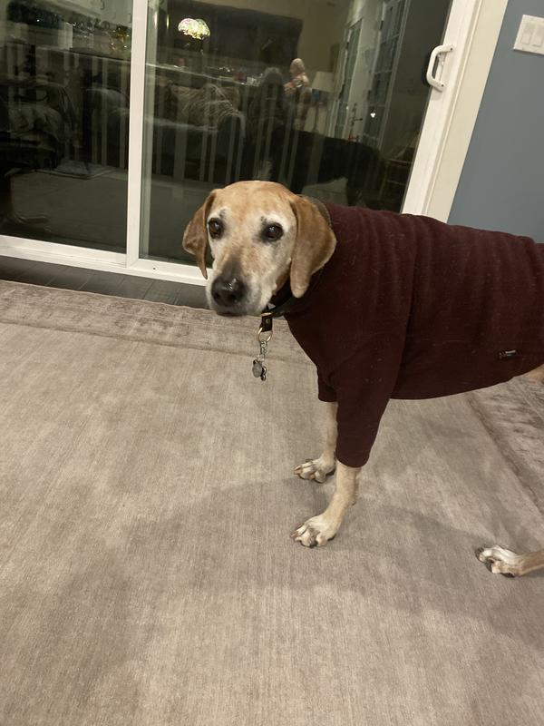 She does not like her pictures taken.