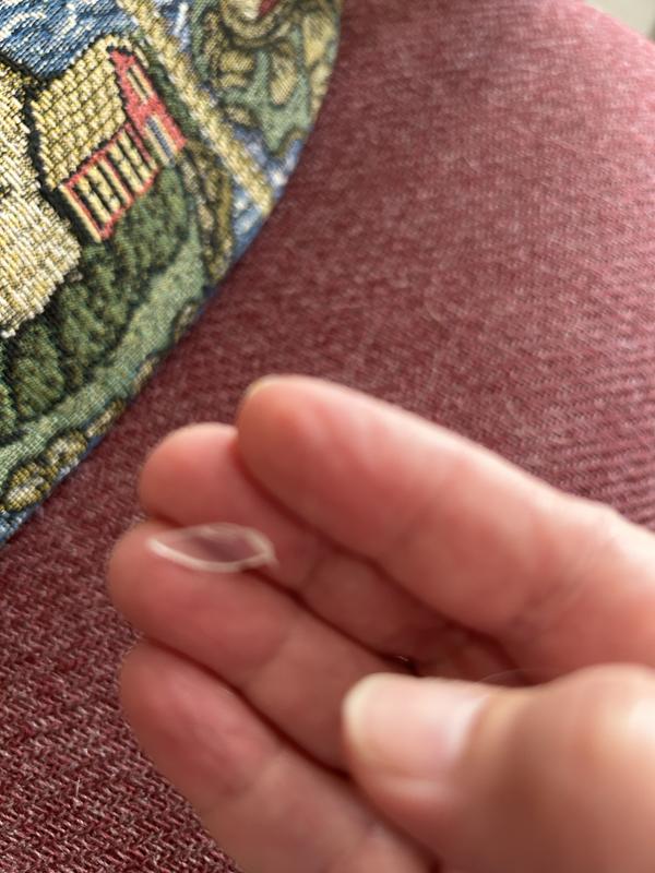 Small shard I found while sifting. A pet could eat this!