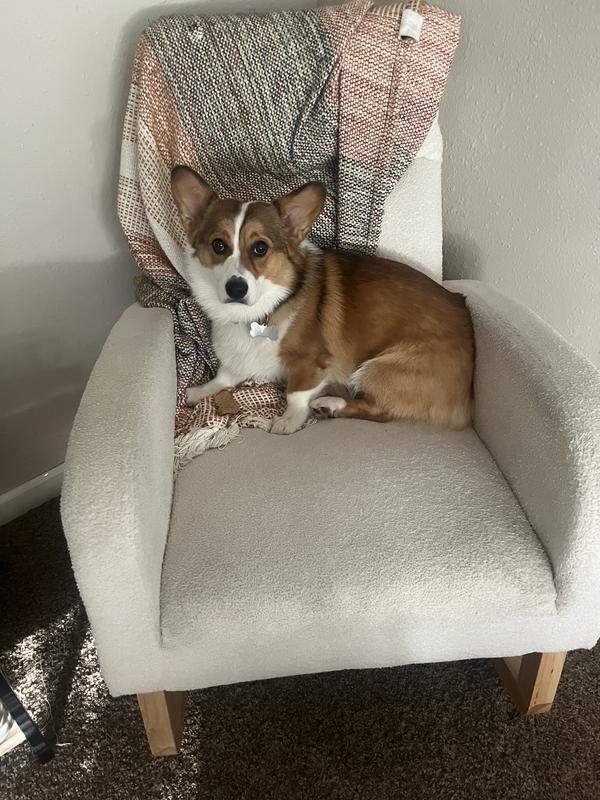 You can barely see the collar through his neck fluff, but when you can it complements his fur perfectly!