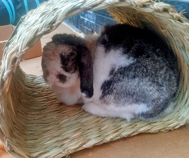 Whiskey says..no. It's mine