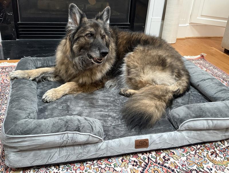 Bedsure brand new 'orthopedic' bed - thin not-so-firm mattress.