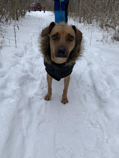 Our sweetie in the snow!