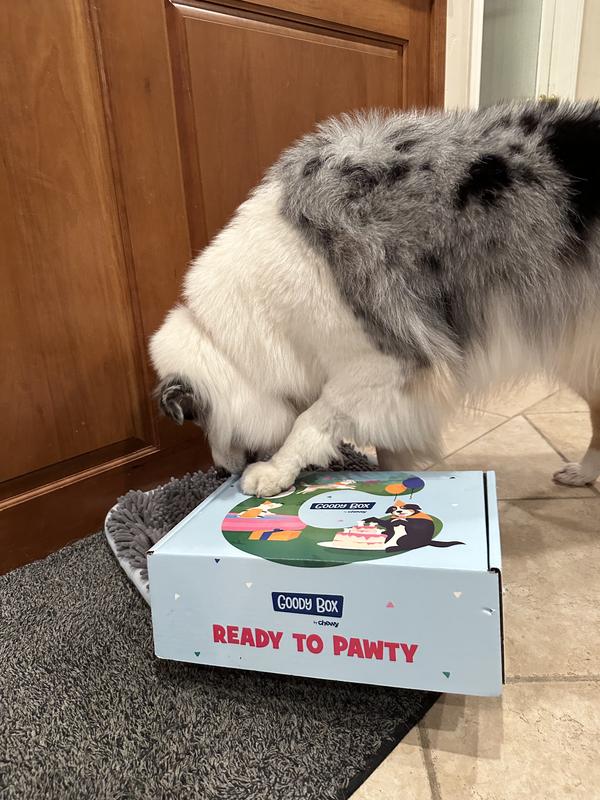 GOODY BOX Chewy Dog Toys, Treats, & Bandana reviews 