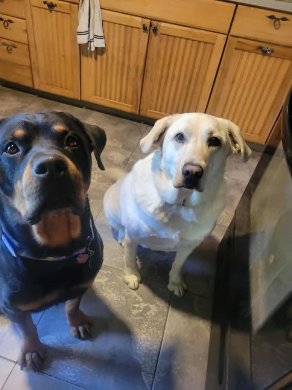 I got their attention LOL