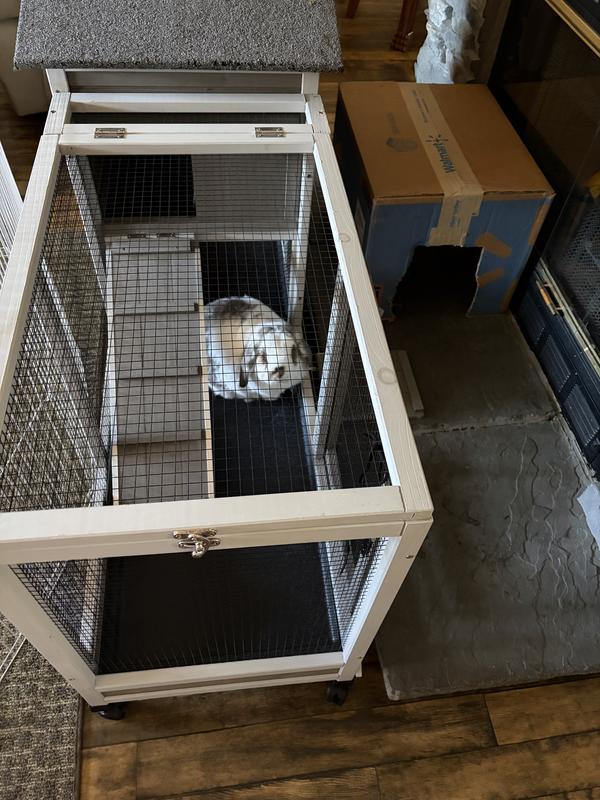 PETSCOSSET Indoor Two-Story Rabbit Hutch with Wheels, Gray, 55-in ...