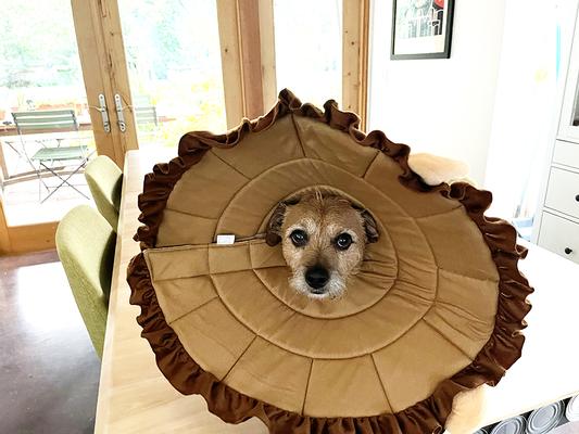 Lion mane hot sale dog cone