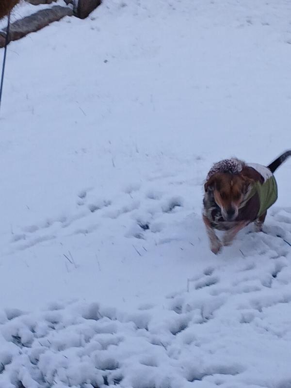 She can run and play comfortably in her new jacket.