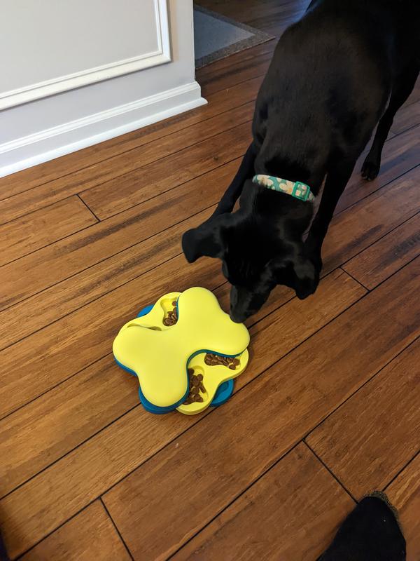 Mango's first attempt on her puzzle feeder