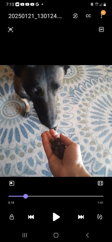 Thea loved these treats 5 stars all the way!