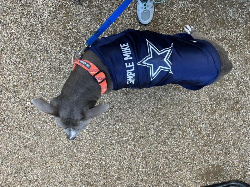 Dallas Cowboys Dog Apparel and Accessories