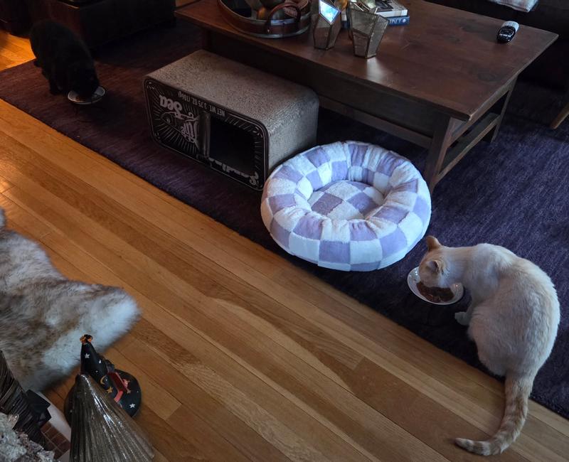 castiel and sam enjoying