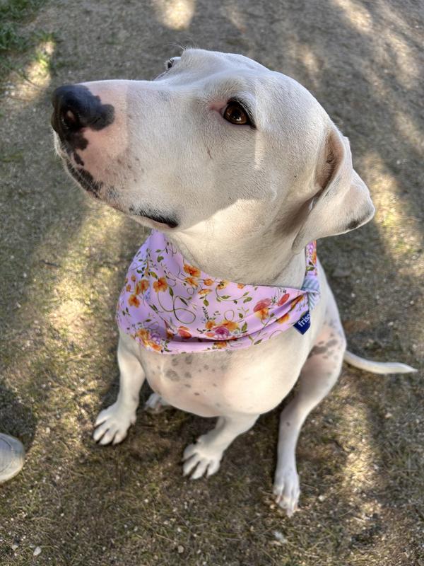 Mariposa with the floral side out.