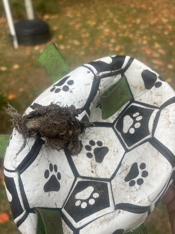 Will not last two minutes