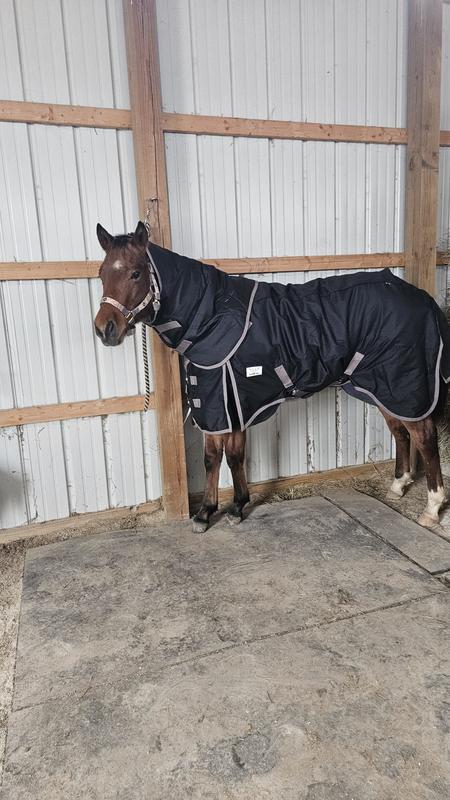 A great all purpose blanket for constant changing weather!