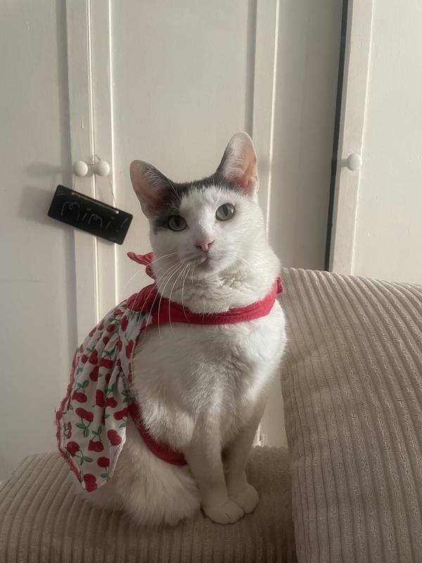 After (still eating good but healthy now)