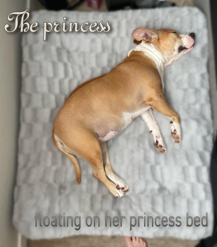 Princess pillow bed