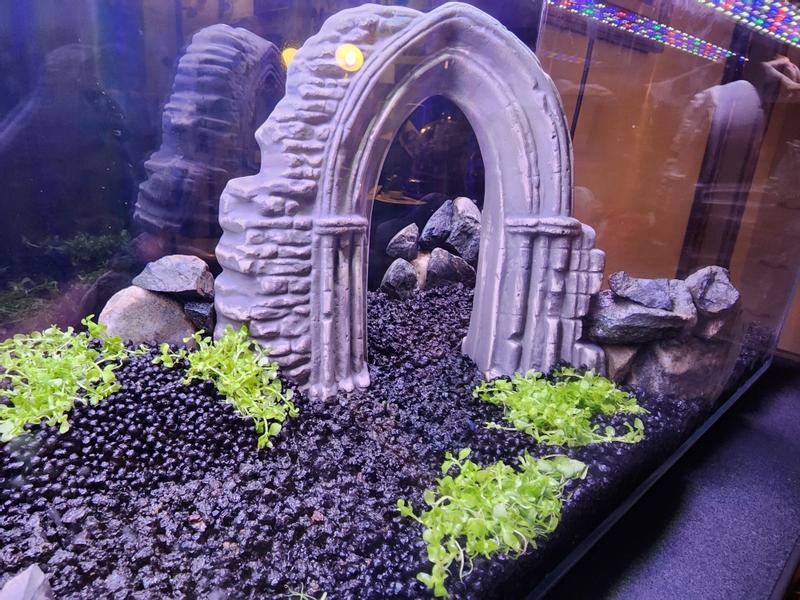 Gothic aquarium hot sale decorations