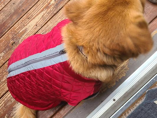Nice reflective strip and perfect fit for my Golden Retriever mixed dog.
