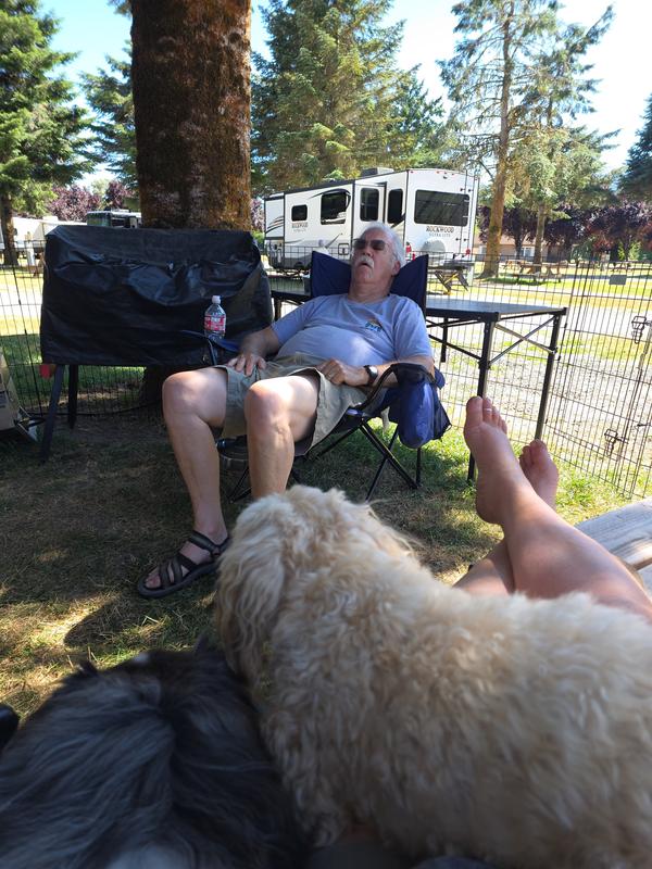 Relaxation WITH the pups!