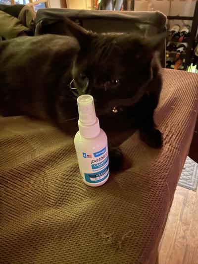 Checking out the calming spray prior