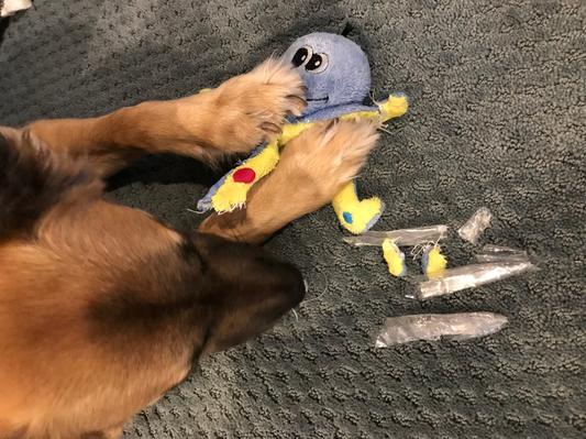 Snuggle Puppy Tender-Tuffs Curly Leg Octopus Tough Squeaky Dog Easy Grab Toy