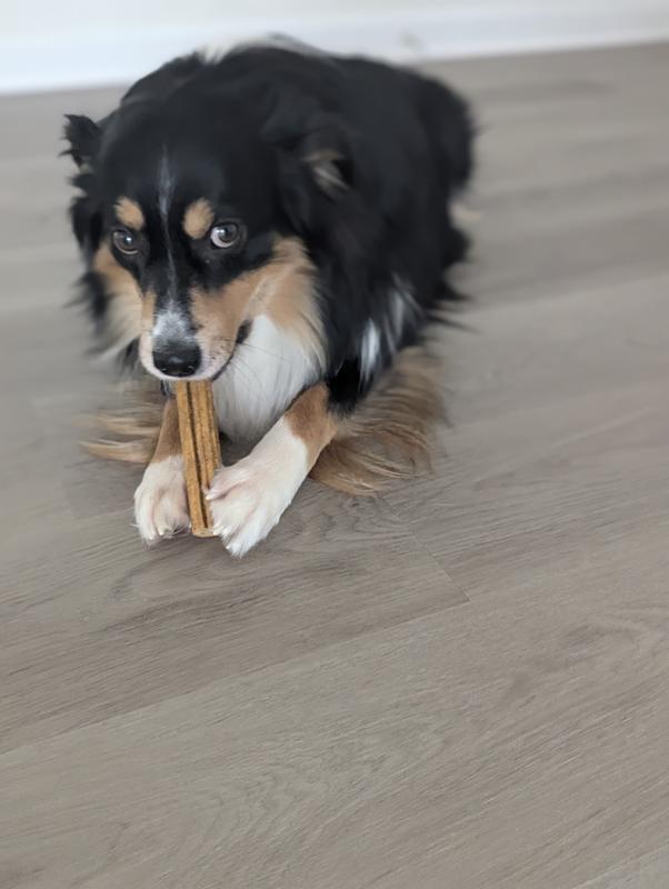 Him enjoying the Sea Sticks