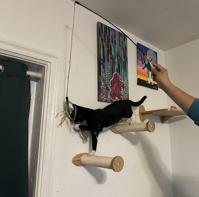 Not sure which of us likes it more :)