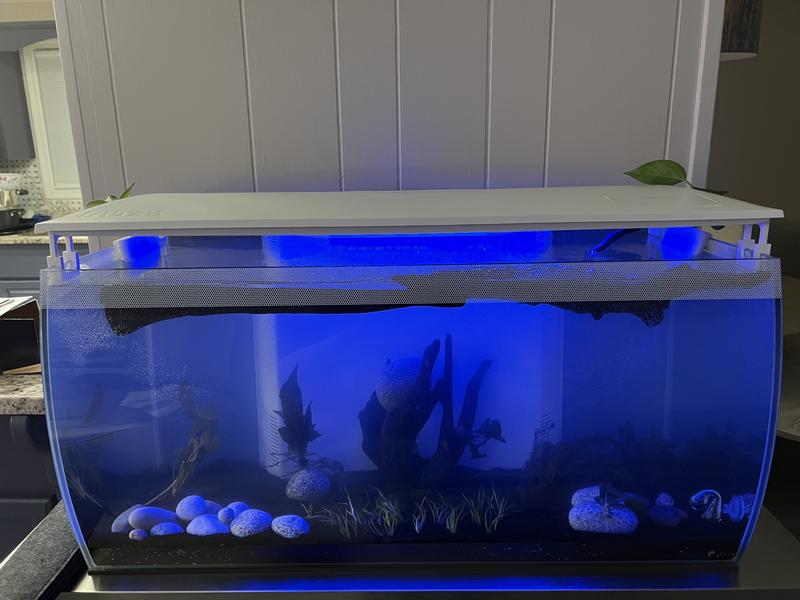 Can I mix Fluval Stratum with other substrates in a 20g tank