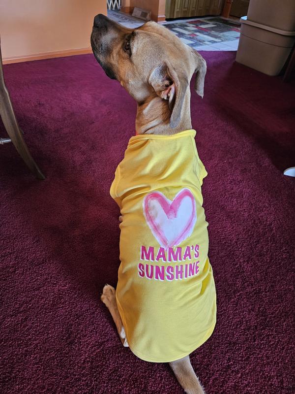 You're My Sunshine Mom 20oz Tumbler Graphic By Irmalyp44 · Creative Fabrica