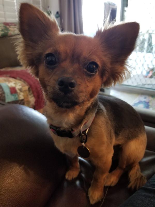 Loving my chicken breast protein topper!