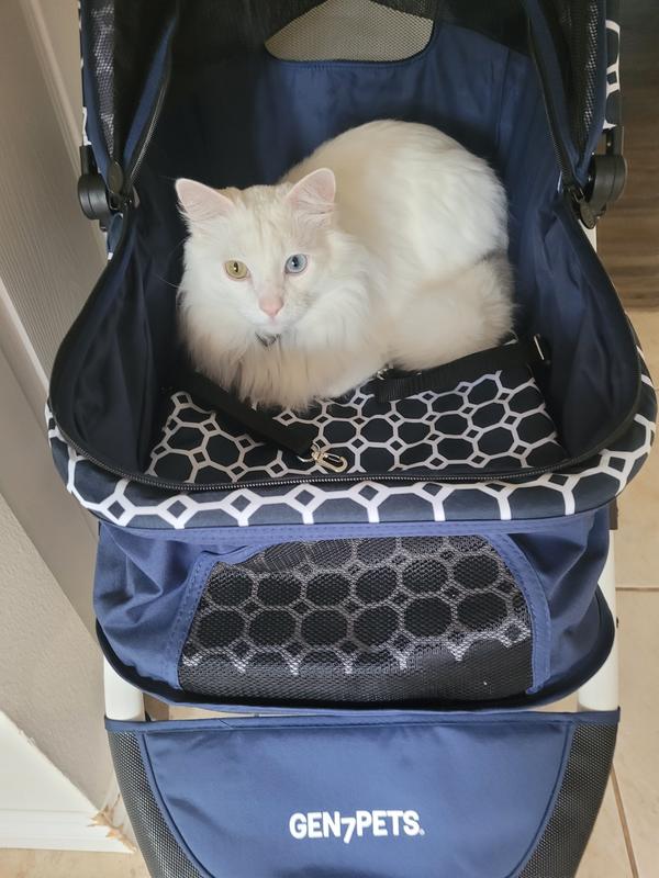 Stanley couldn't wait to try his new stroller out .