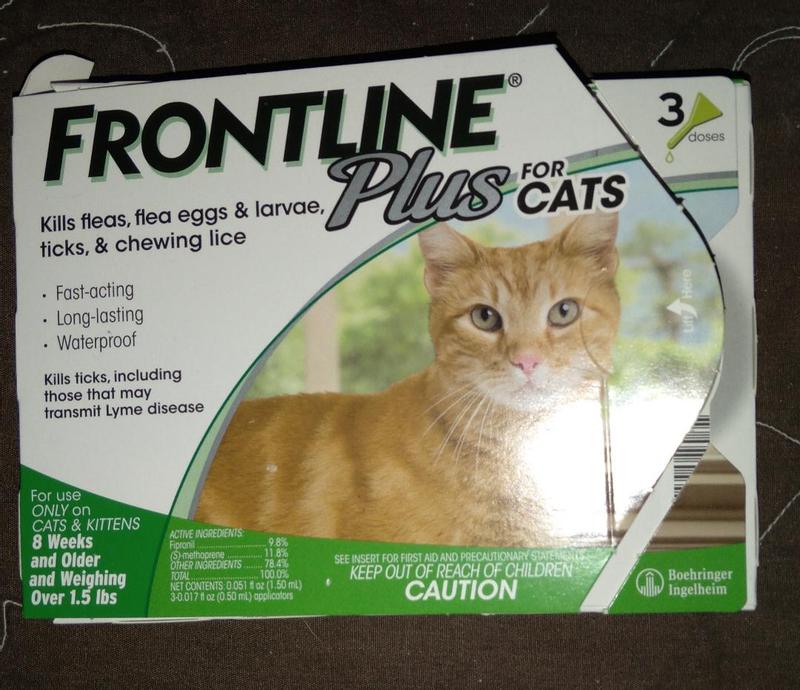 Frontline hotsell for cats