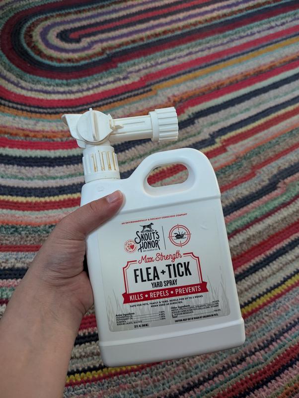 Small size, concentrated product, not heavy or difficult to carry