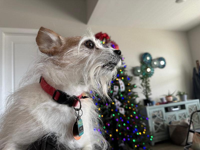 Buster my little sweety