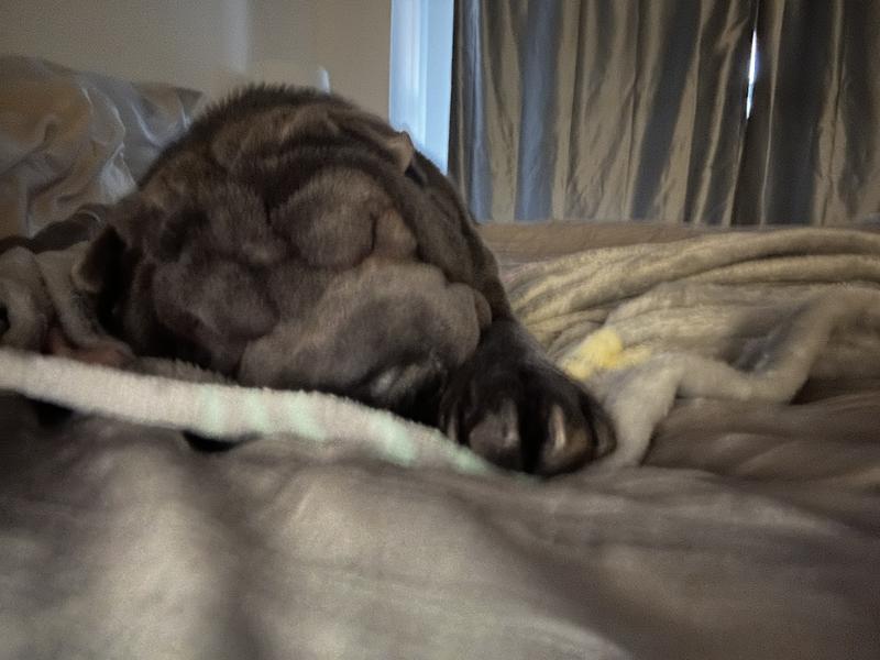 Sleeping with the stars…