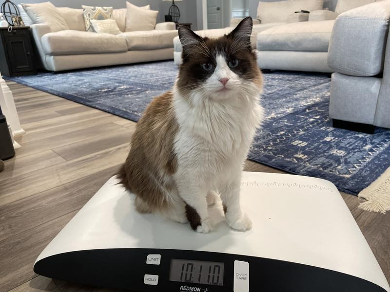 Bella demonstrated for you!