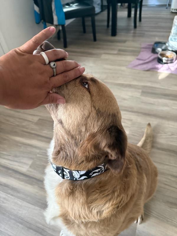 Soft material with a durable snap belt