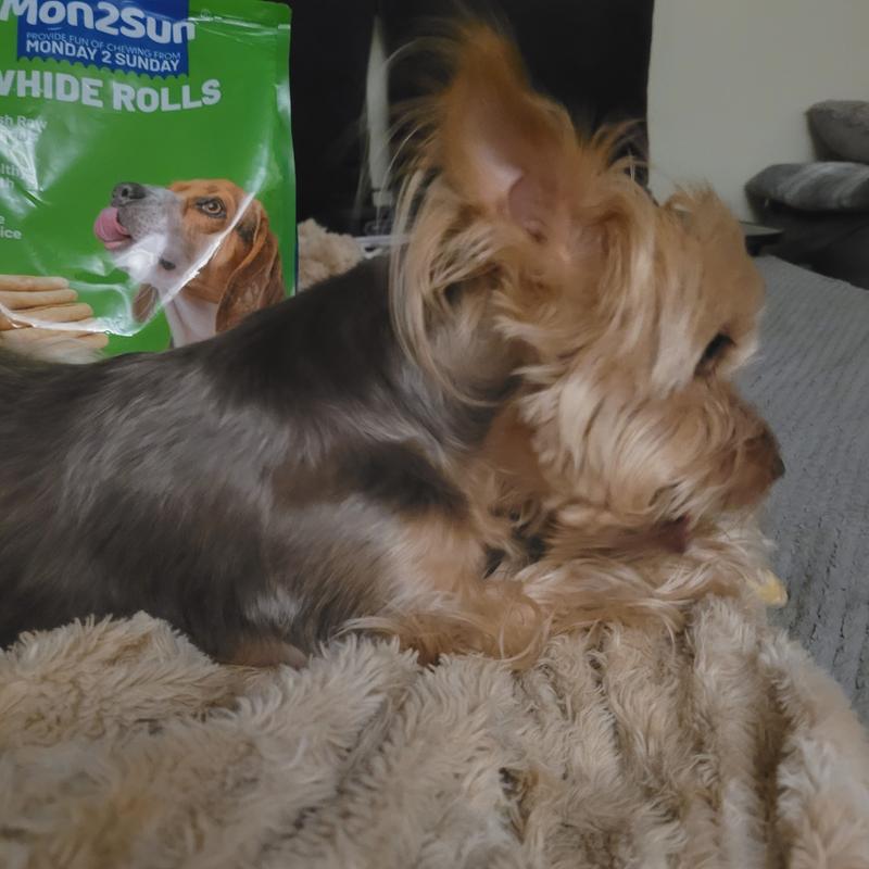 Betty enjoying her chew!