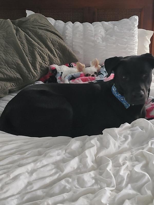 Spoiled and they know it!