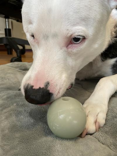 He is a weirdo but these balls are great.