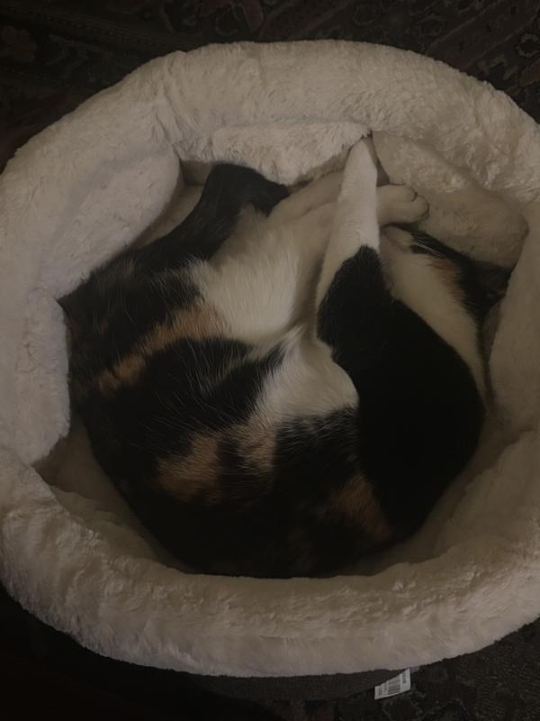 Curled up or sprawled out- fits all sizes!