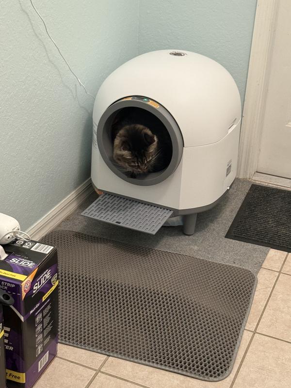 Middle “child” using it, he’s scared of everything so he likes that he can stick his head out and see what’s happening around him