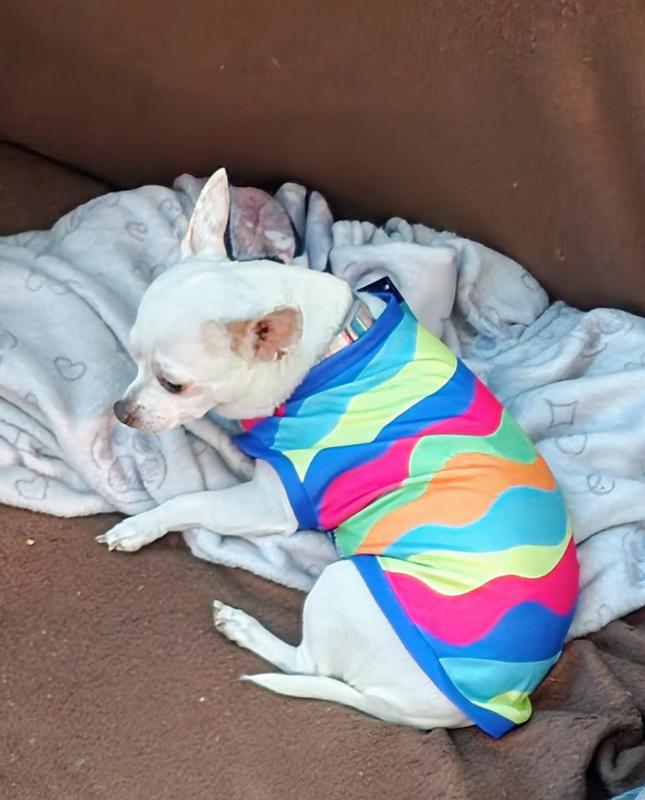 Summer time relaxing