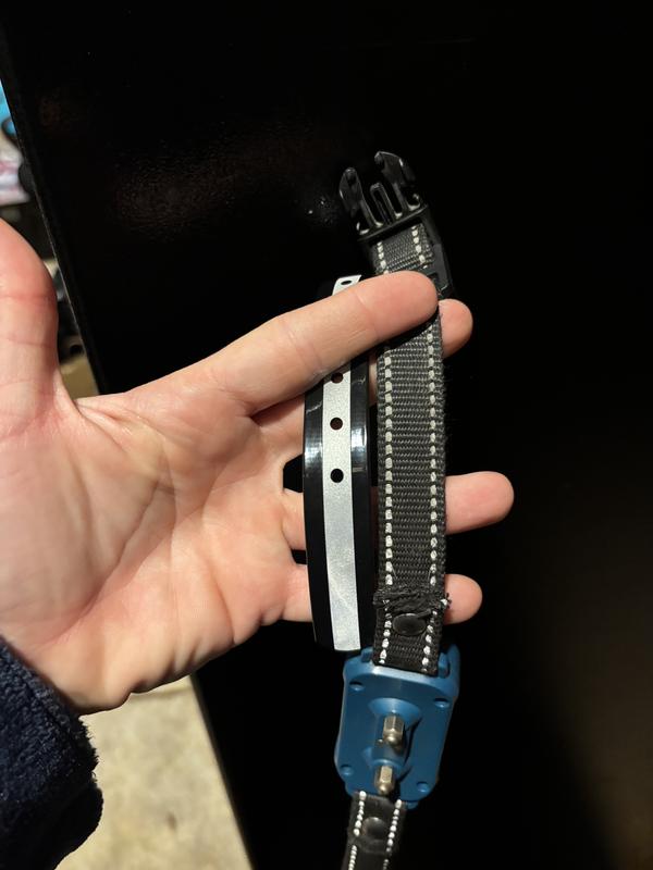 Reflection comparison to old collar