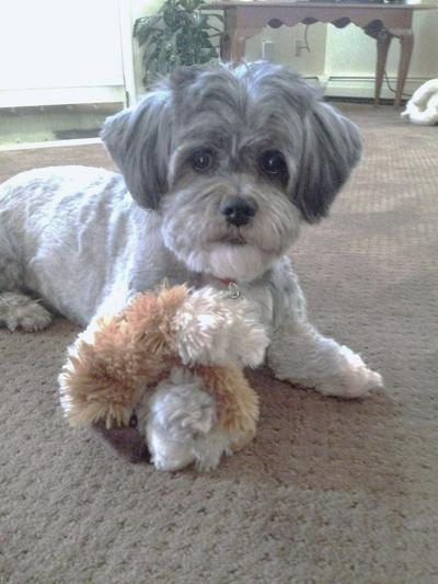 Molly in younger years.