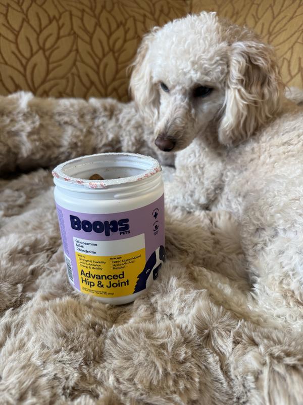 Princess getting ready to chow down