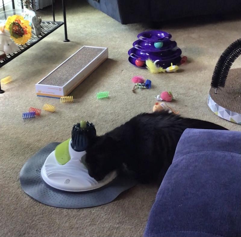 Catit Design Senses Scratch Pad 