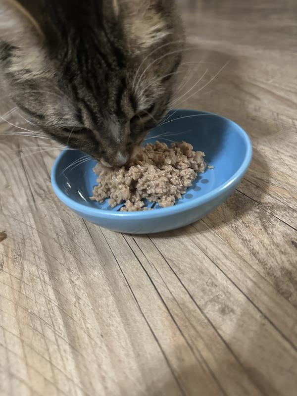 Black Bean enjoying this food!